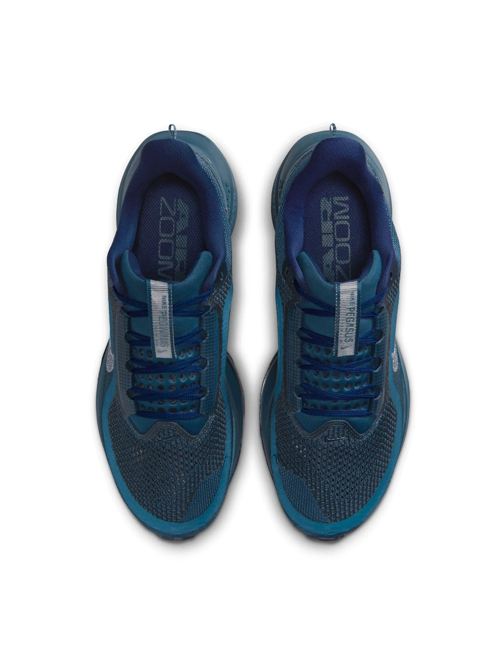 Nike Pegasus Premium Womens Shoes