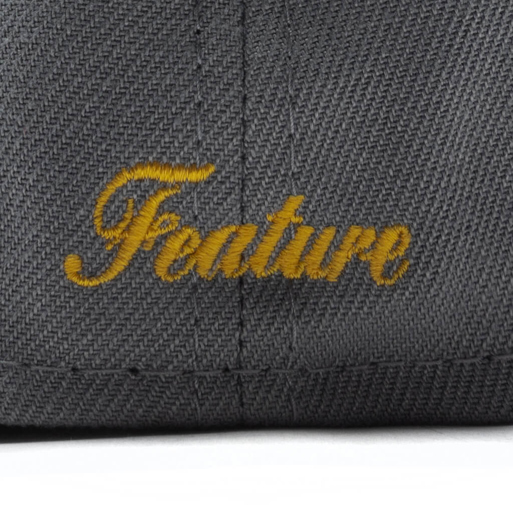 Feature x New Era F Logo Fossils Everywhere 59FIFTY Fitted Gray Brown