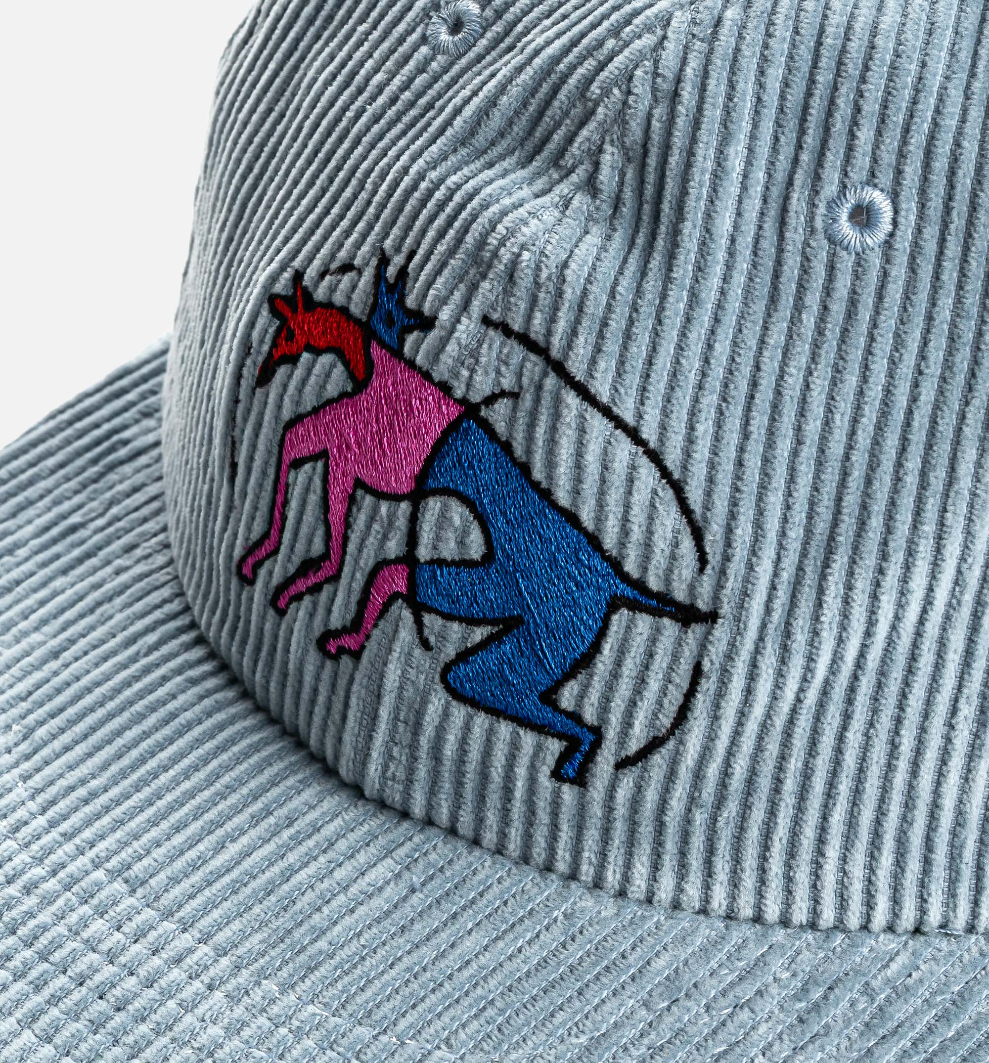 The Zoomies 6 Panel Mens Hat Blue