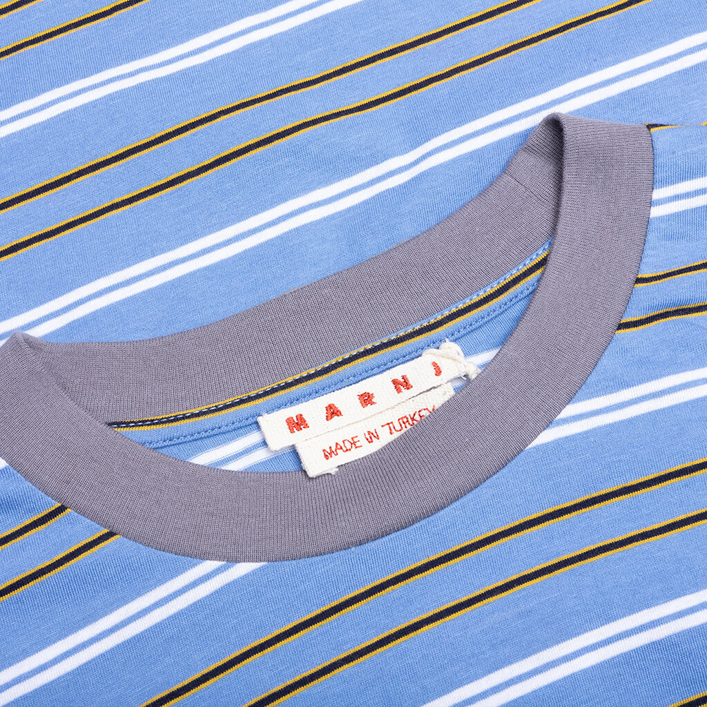 Striped Long Sleeve T Shirt Periwinkle