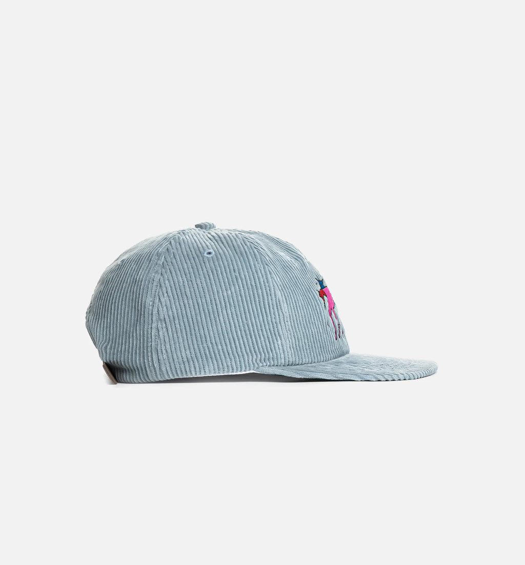 The Zoomies 6 Panel Mens Hat Blue
