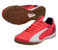 PUMA evoSPEED 43 IT Bright Plasm