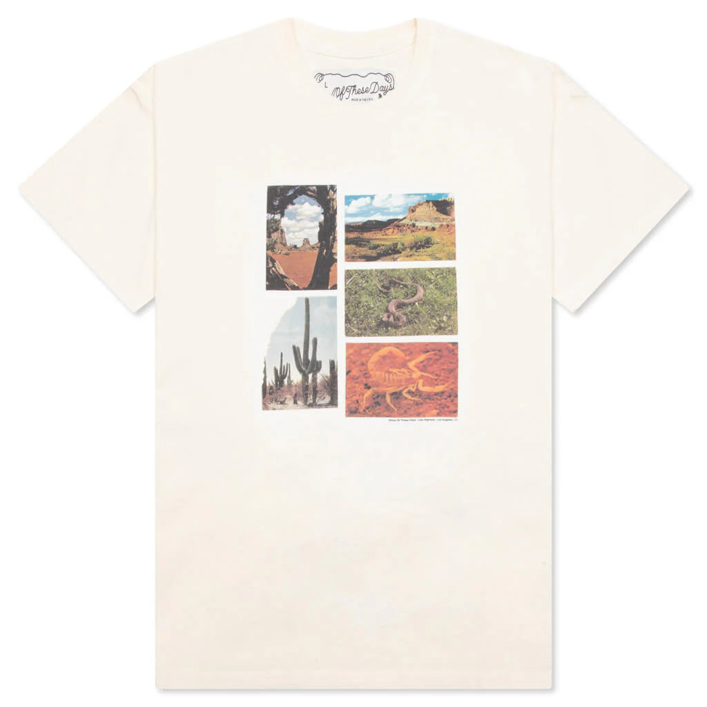 Lost Highway Tee Bone