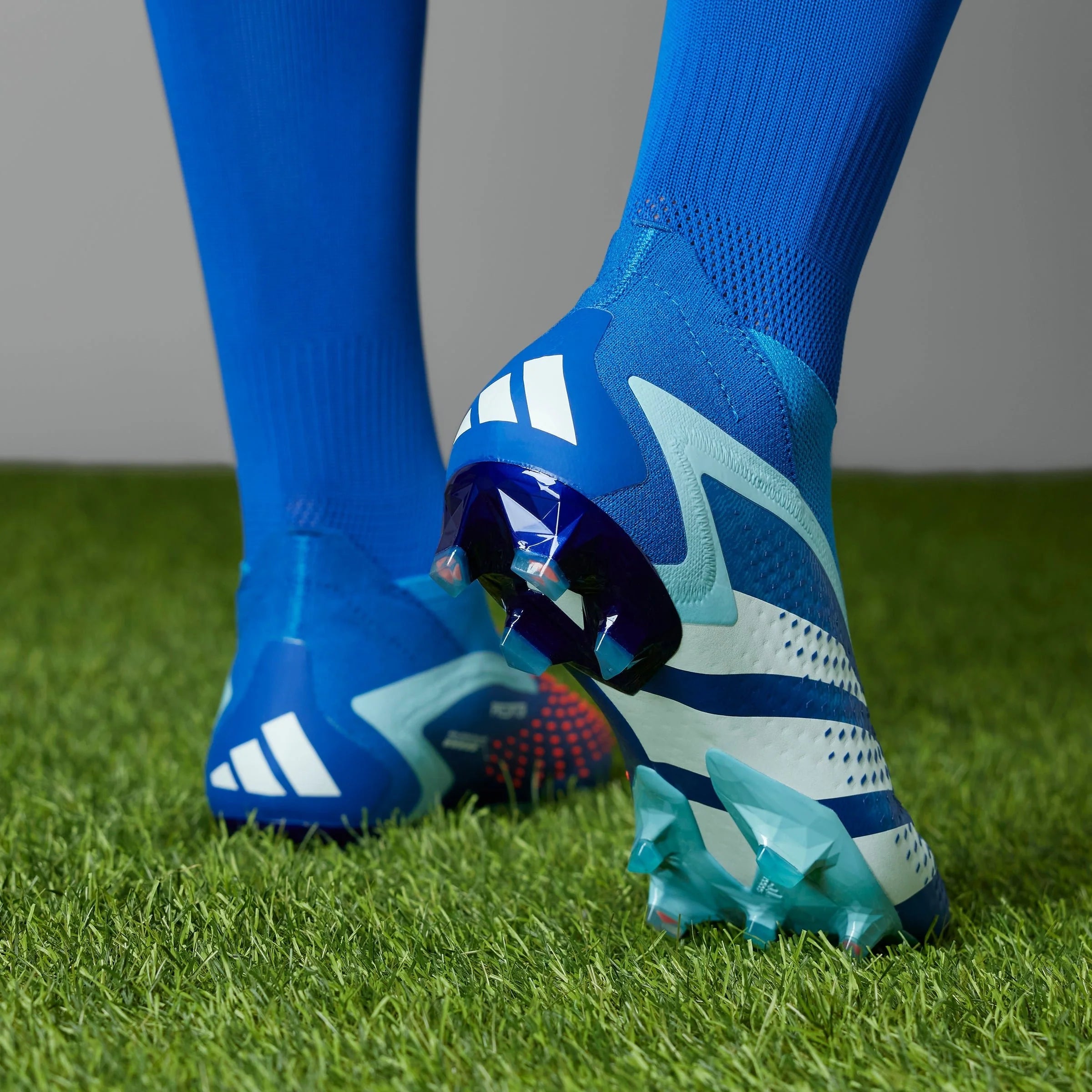 adidas Predator Accuracy FG Firm Ground Soccer Cleats Bright Royal Cloud White Bliss Blue