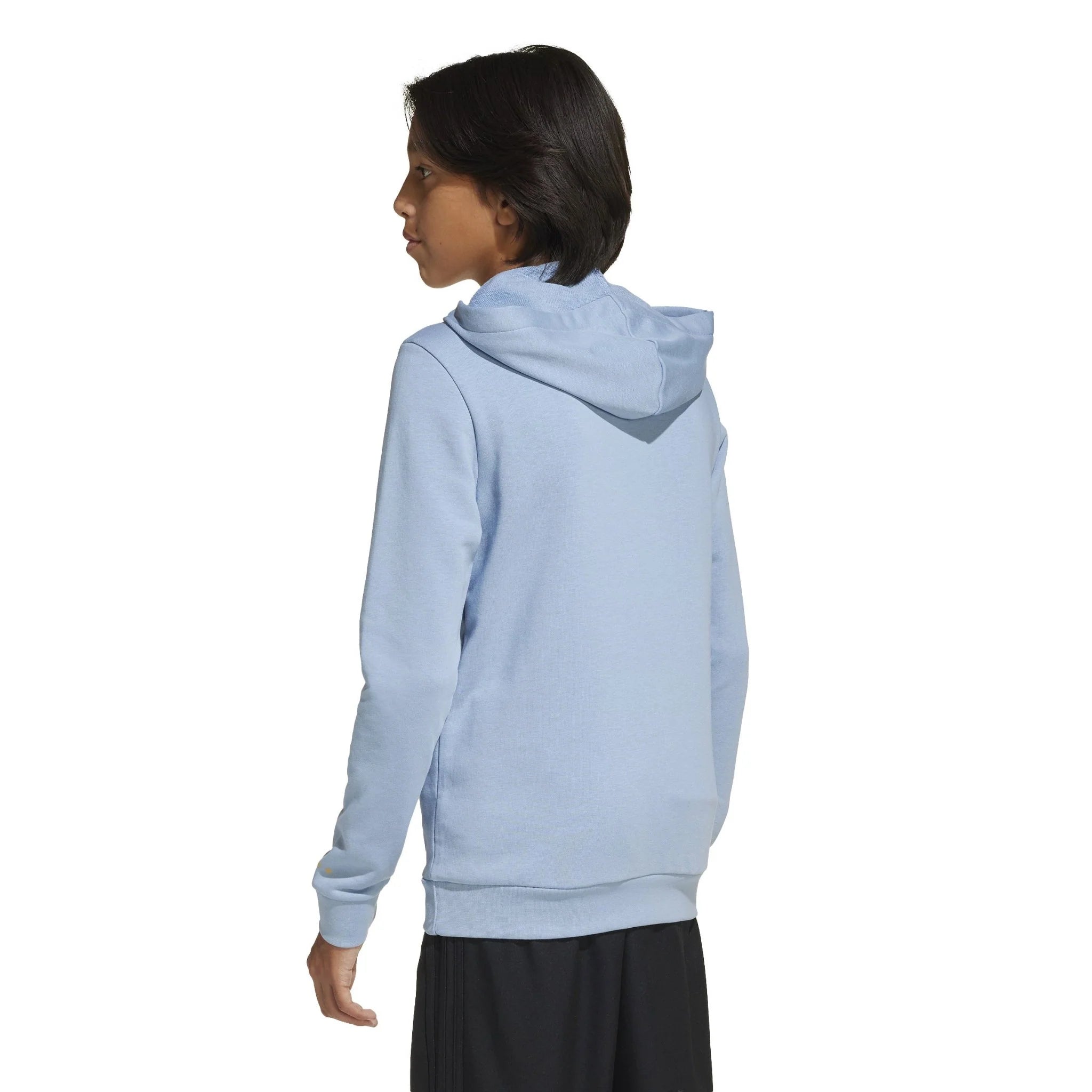 adidas Argentina Anniversary DNA Hoodie Sky White