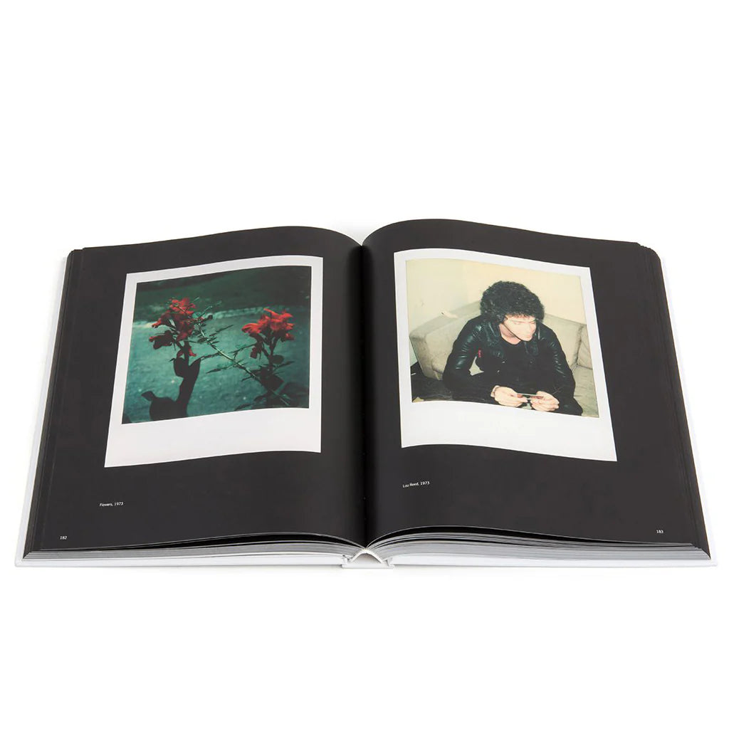 Andy Warhol Polaroids