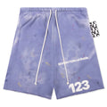 Gym Bag Short Washed Purple
