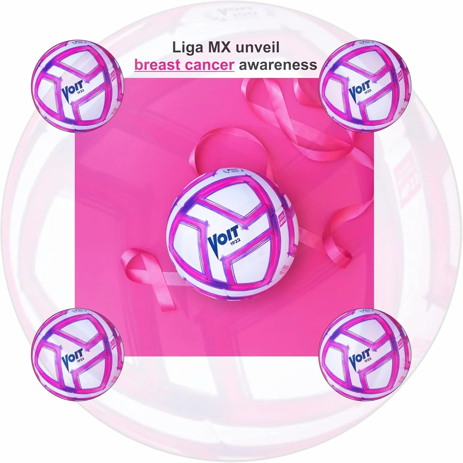 Voit Pro Officia FIFA Match Soccer Soccer Ball White Pink