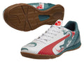 PUMA Evospeed 43 Graphic IT Whit