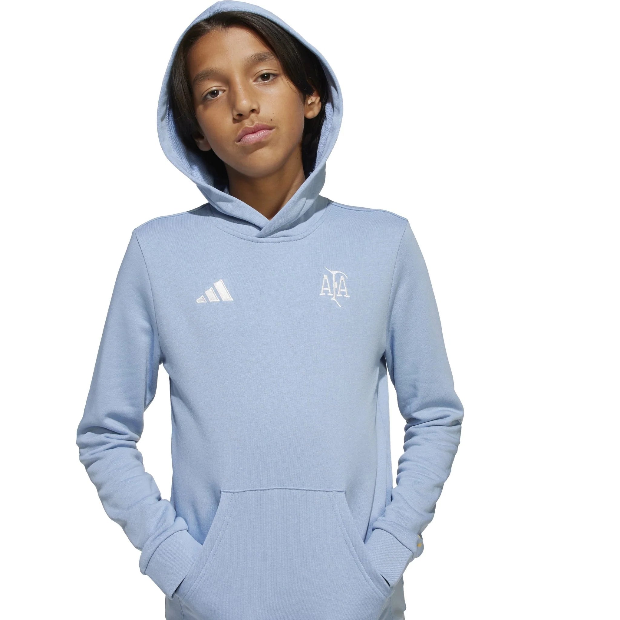 adidas Argentina Anniversary DNA Hoodie Sky White
