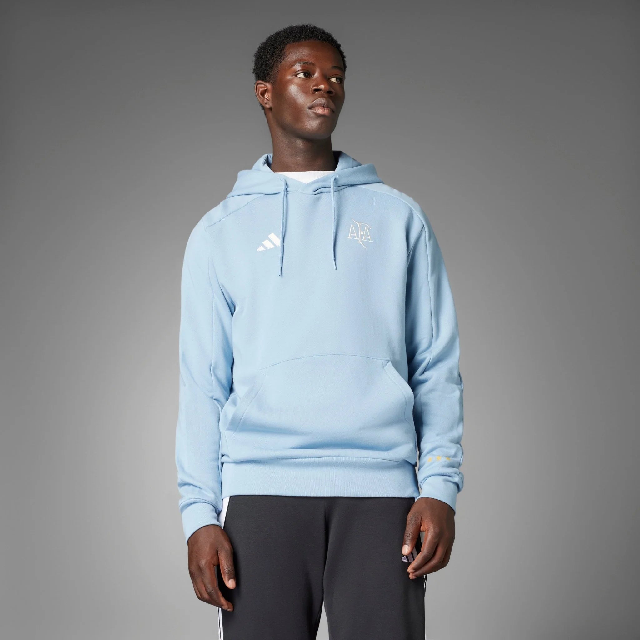 adidas Argentina Anniversary DNA Hoodie Sky White
