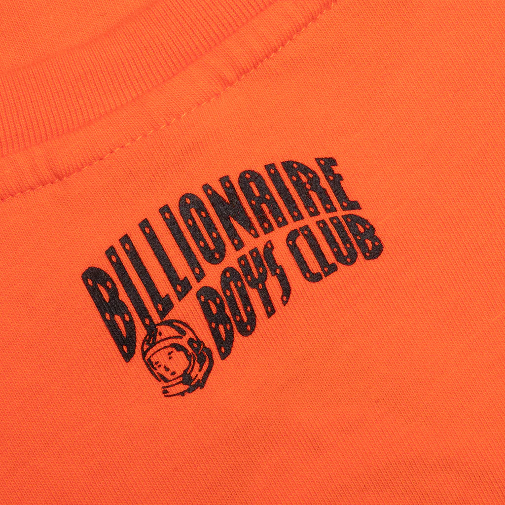 BB Vision S S Tee PuffinS Bill