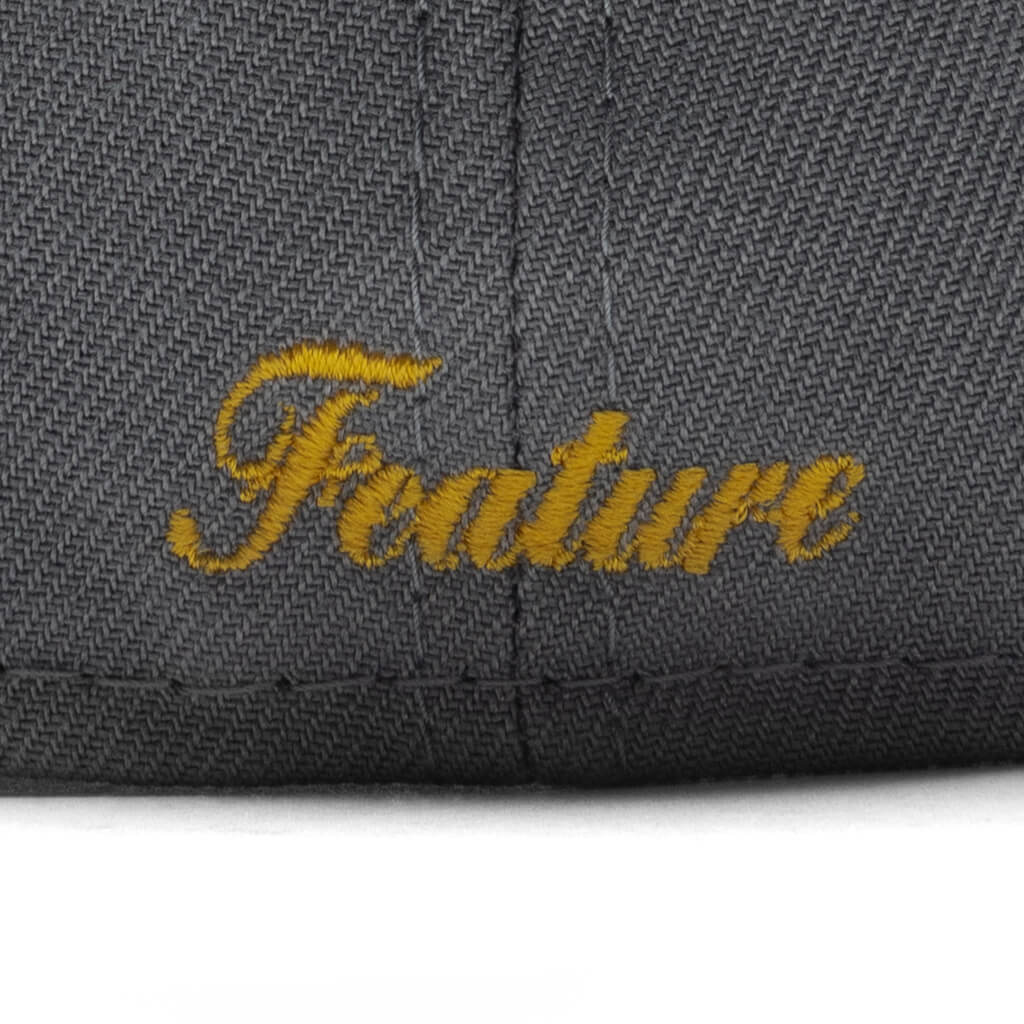 Feature x New Era Fossils Everywhere 59FIFTY Fitted Gray Brown
